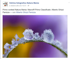 Contest Macro Natura Mania Ottobre 2014